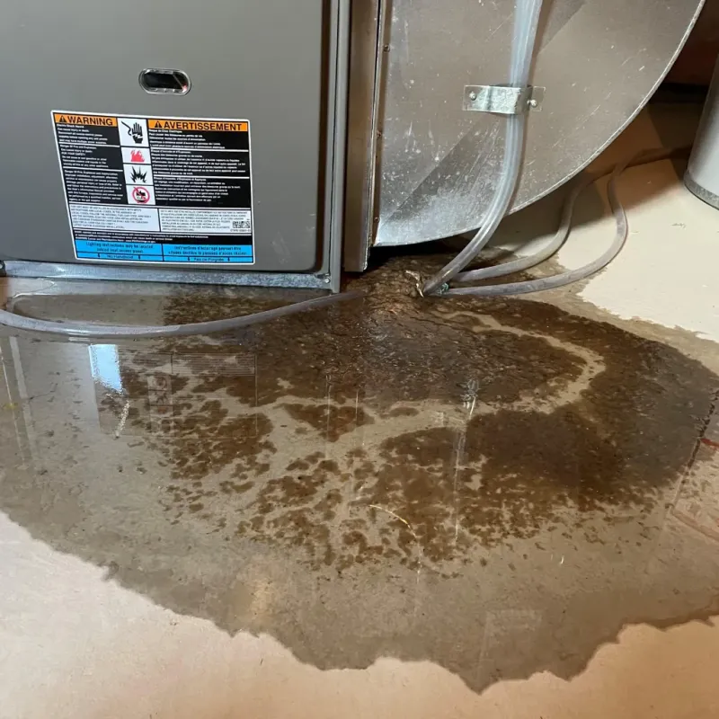 Appliance Leak Cleanup in Freeport, NY